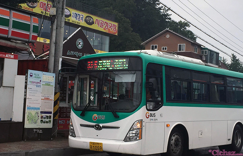 Bus from Gapyeong Station to Naminara Republica