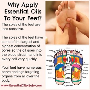 YLEO-feet