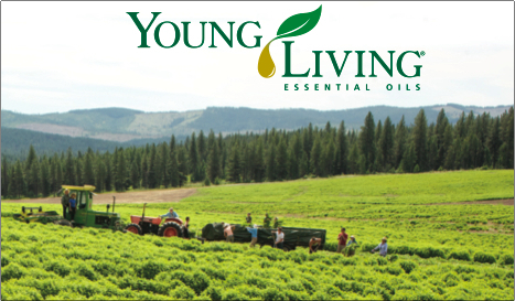 young-living-farm