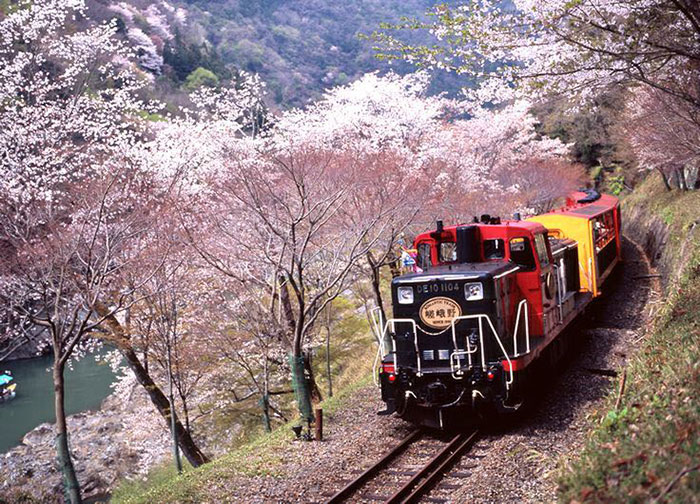 Kyoto-Arashiyama-Sagano-Scenic-Railway-3